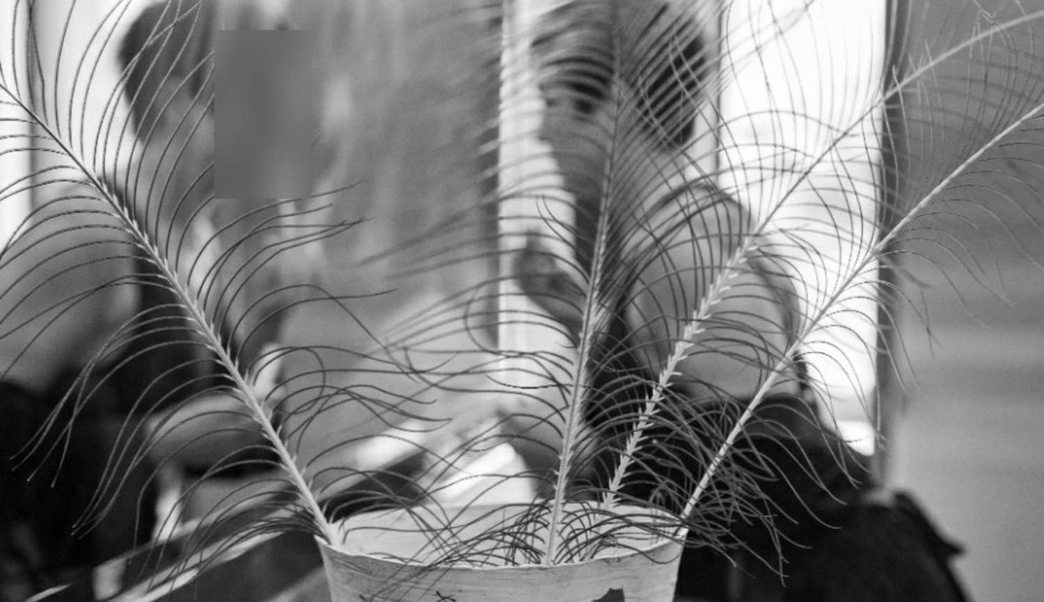 Jess L - Christchurch Escort | Independent Private Escort - Gallery Photo 5